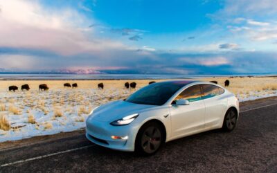 voitures électriques