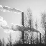 industrie bas carbone
