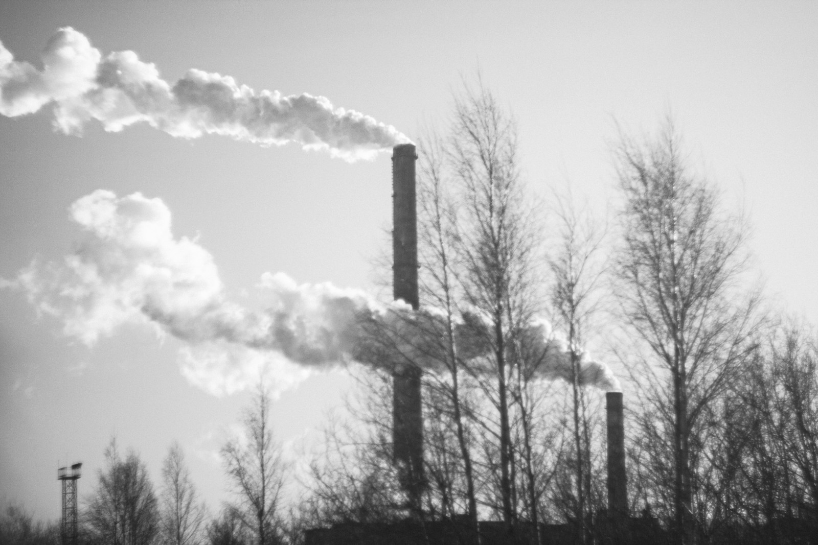 industrie bas carbone