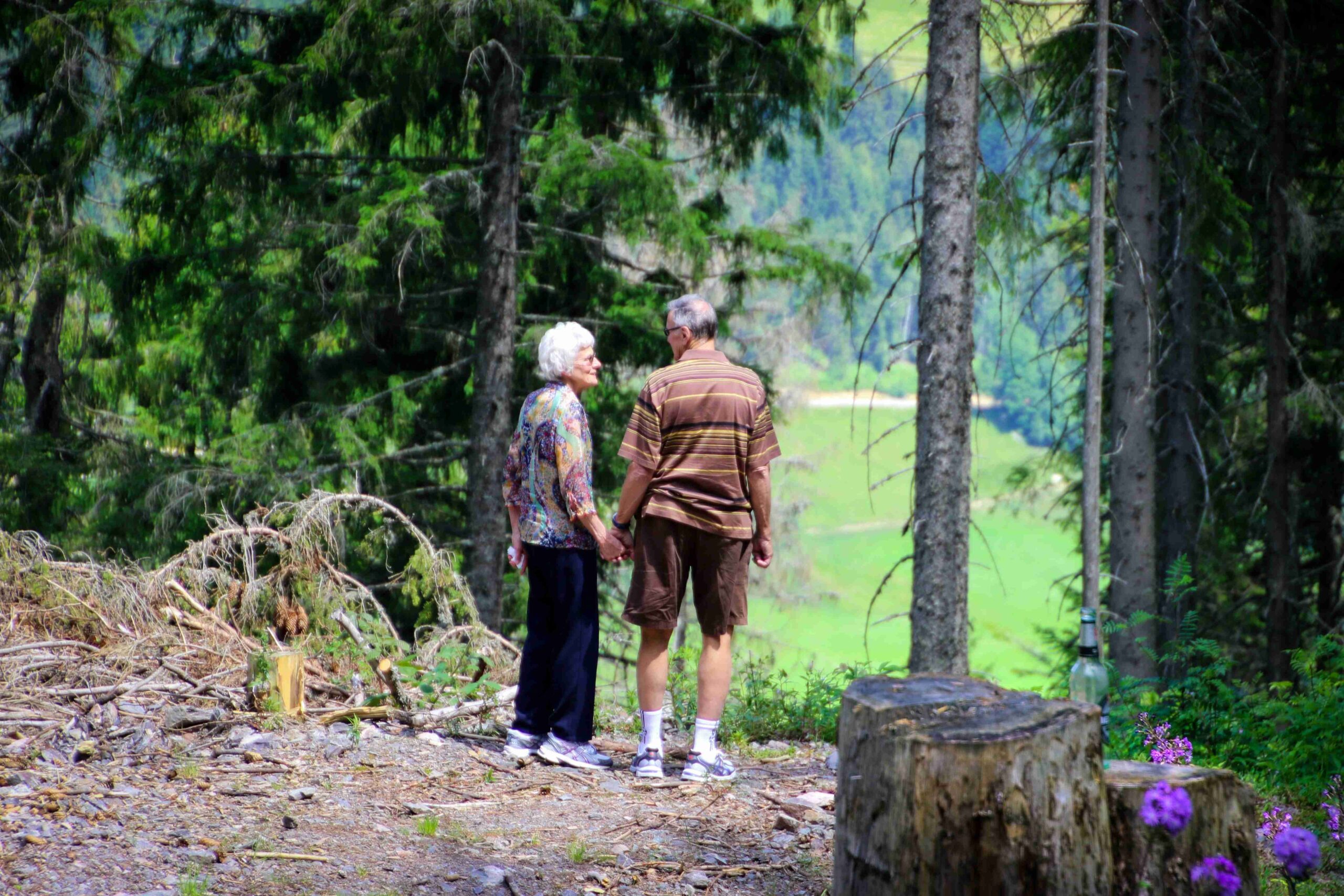 Santé et bien-être des seniors : équilibre quotidien et vitalité