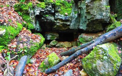 Grotte à 14°C ou lac aménagé : où se réfugier par forte chaleur