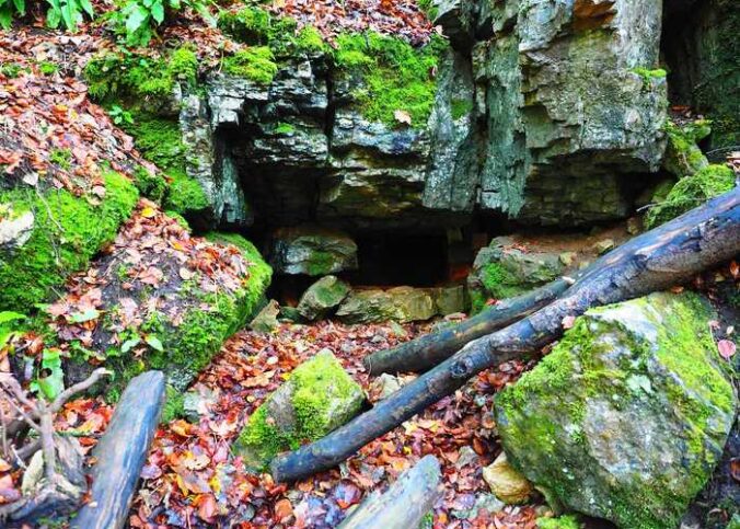 Grotte à 14°C ou lac aménagé : où se réfugier par forte chaleur