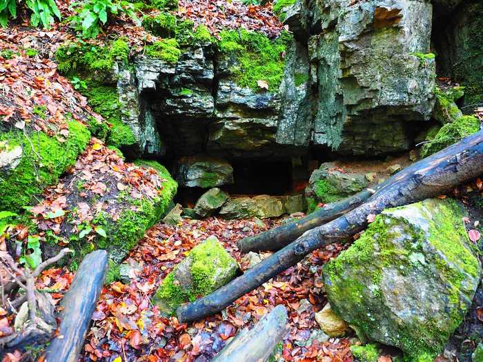 Grotte à 14°C ou lac aménagé : où se réfugier par forte chaleur
