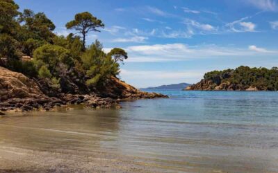 Plage rocheuse avec eau calme et végétation dense sous un ciel bleu